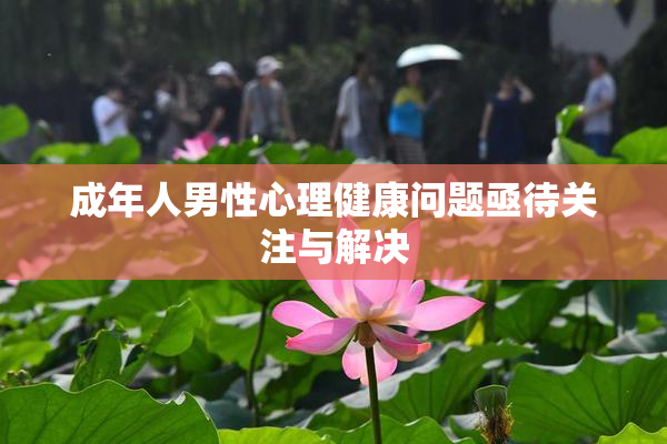 成年人男性心理健康问题亟待关注与解决