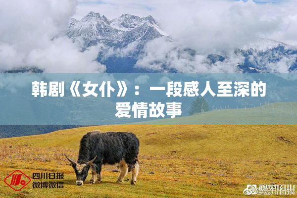韩剧《女仆》：一段感人至深的爱情故事