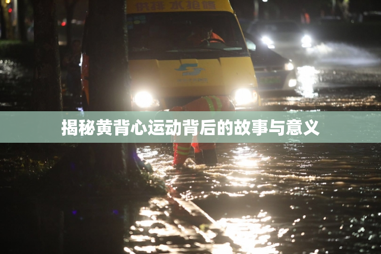 揭秘黄背心运动背后的故事与意义