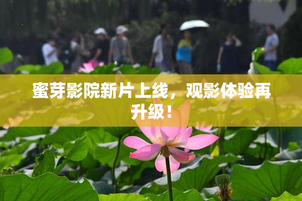 蜜芽影院新片上线，观影体验再升级！