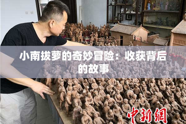 小南拔萝的奇妙冒险：收获背后的故事