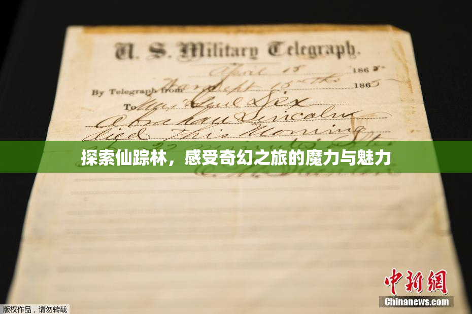 探索仙踪林，感受奇幻之旅的魔力与魅力