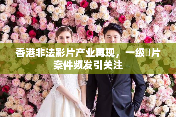 香港非法影片产业再现，一级婬片案件频发引关注