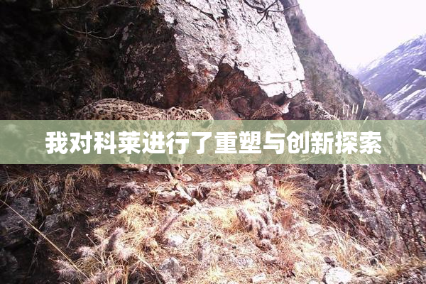 我对科莱进行了重塑与创新探索