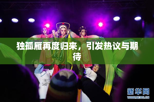 独孤雁再度归来，引发热议与期待