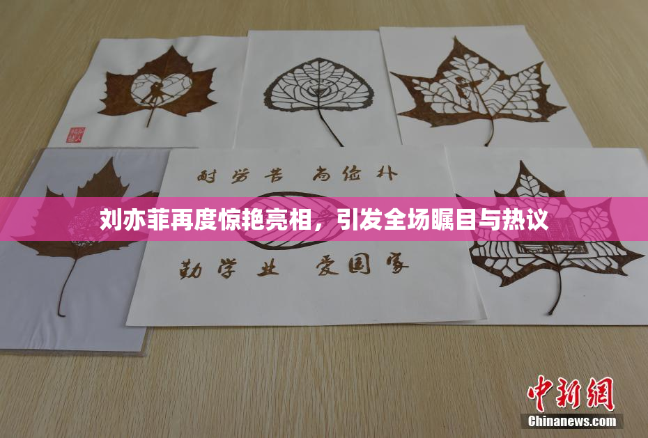 刘亦菲再度惊艳亮相，引发全场瞩目与热议