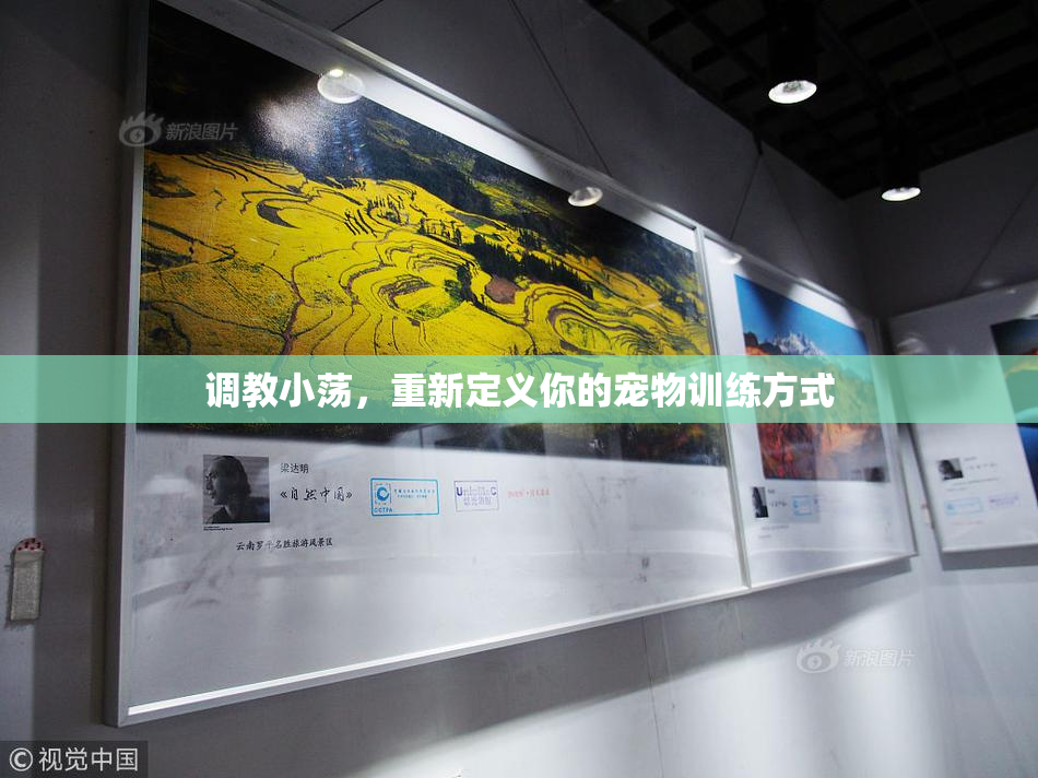 调教小荡，重新定义你的宠物训练方式
