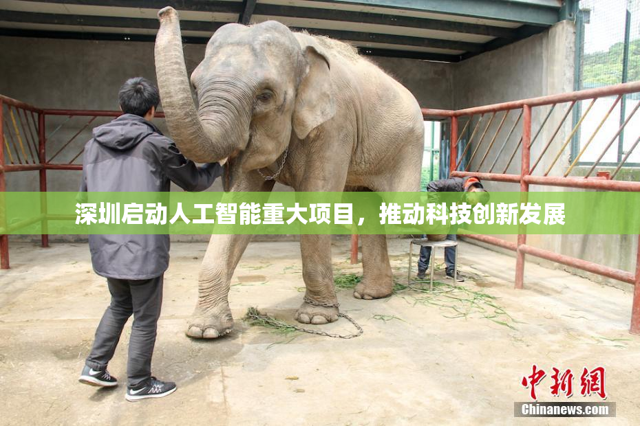 深圳启动人工智能重大项目，推动科技创新发展