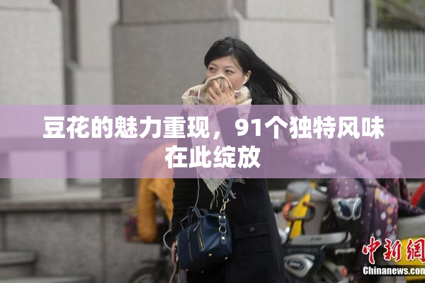 豆花的魅力重现，91个独特风味在此绽放