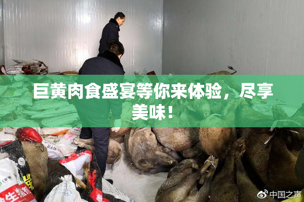 巨黄肉食盛宴等你来体验，尽享美味！