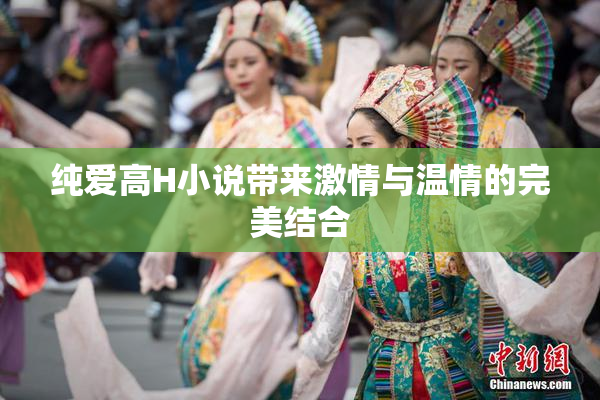 纯爱高H小说带来激情与温情的完美结合