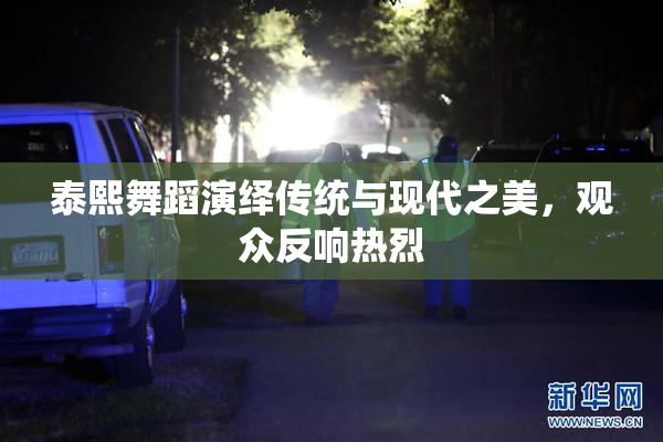 泰熙舞蹈演绎传统与现代之美，观众反响热烈