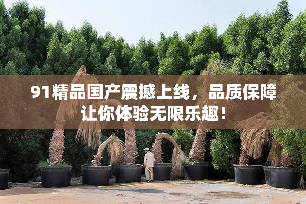 91精品国产震撼上线，品质保障让你体验无限乐趣！