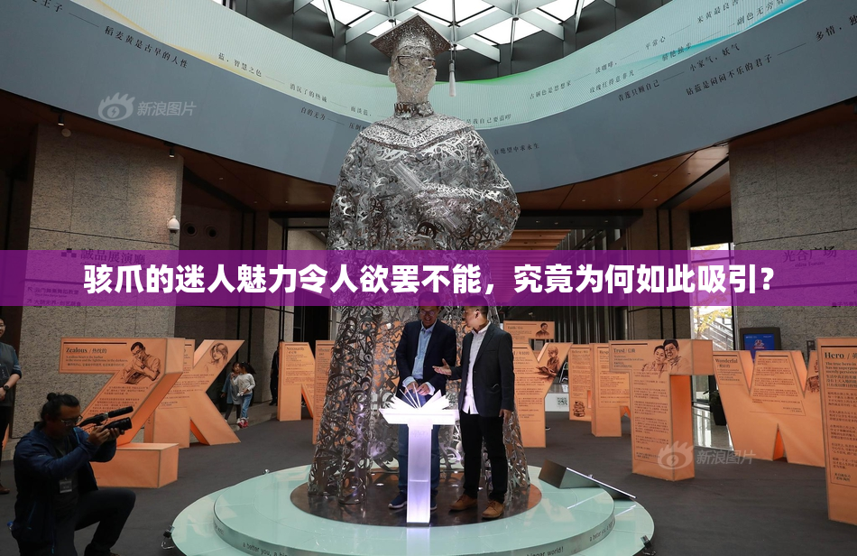 骇爪的迷人魅力令人欲罢不能，究竟为何如此吸引？