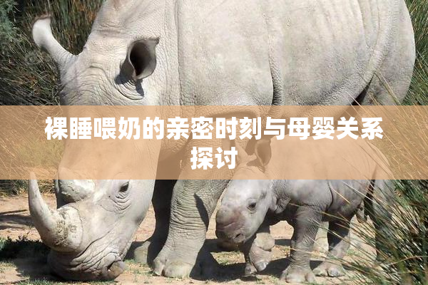 裸睡喂奶的亲密时刻与母婴关系探讨