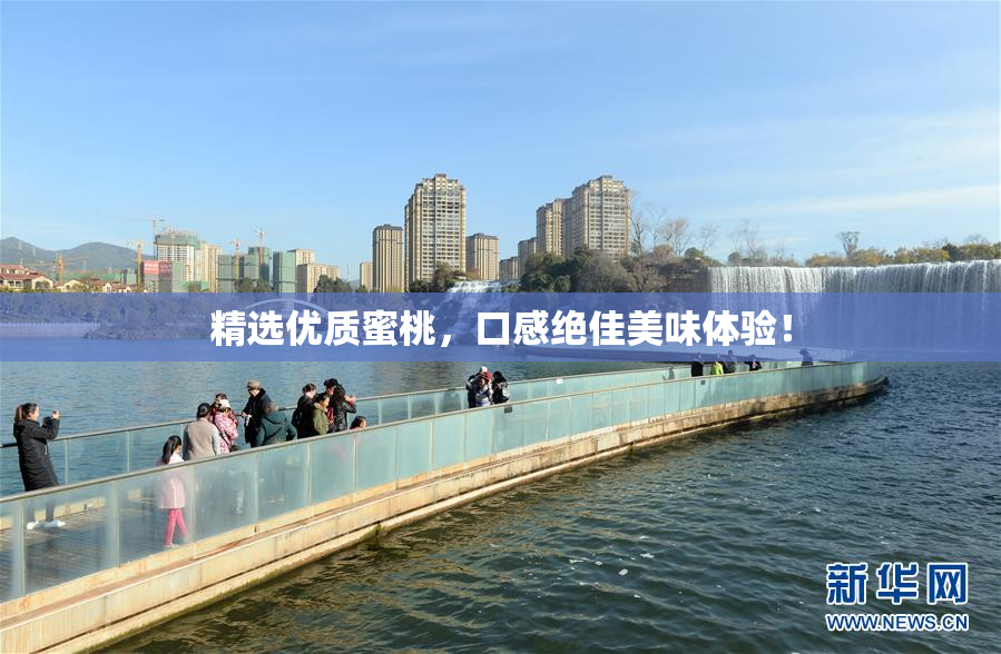 精选优质蜜桃，口感绝佳美味体验！