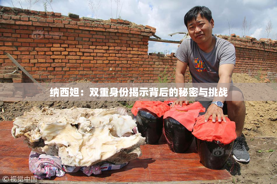 纳西妲：双重身份揭示背后的秘密与挑战