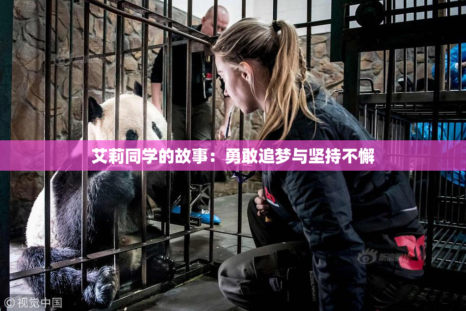 艾莉同学的故事：勇敢追梦与坚持不懈