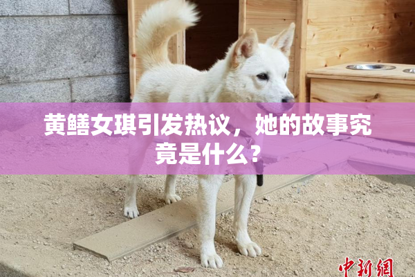 黄鳝女琪引发热议，她的故事究竟是什么？