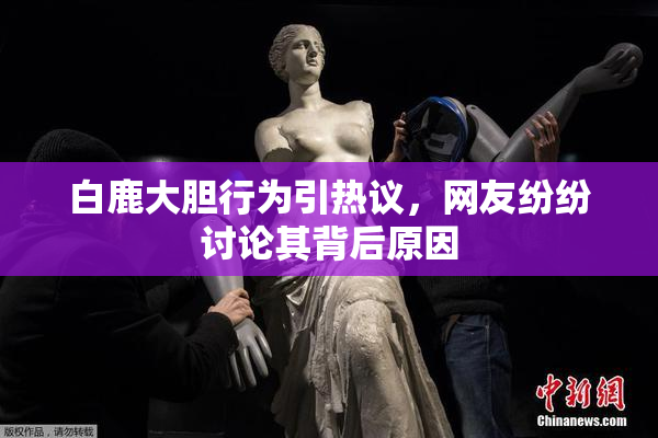白鹿大胆行为引热议，网友纷纷讨论其背后原因
