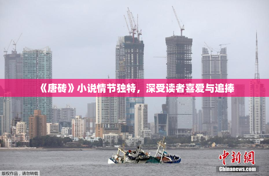 《唐砖》小说情节独特，深受读者喜爱与追捧