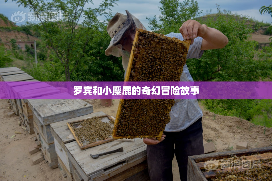 罗宾和小麋鹿的奇幻冒险故事