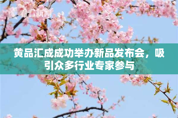黄品汇成成功举办新品发布会，吸引众多行业专家参与