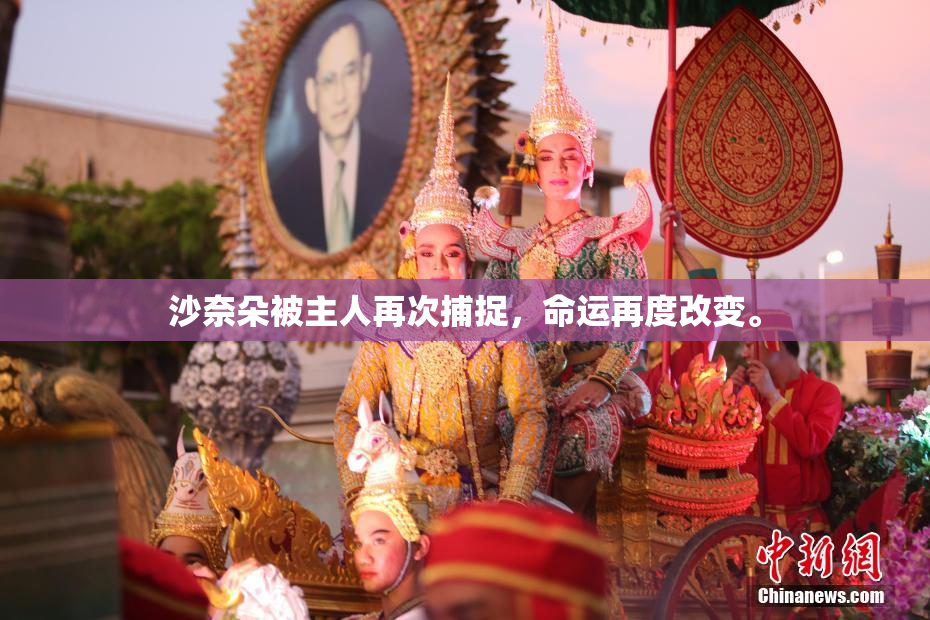 沙奈朵被主人再次捕捉，命运再度改变。