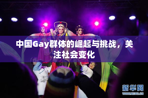 中国Gay群体的崛起与挑战，关注社会变化