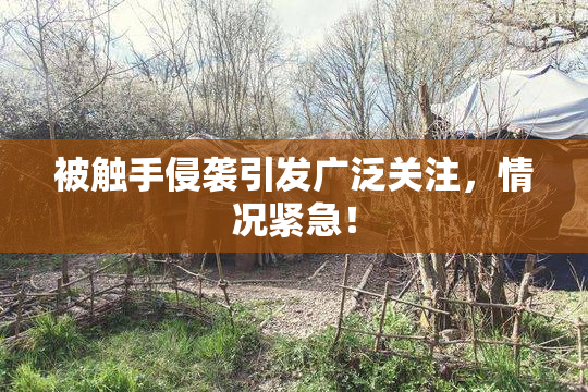 被触手侵袭引发广泛关注，情况紧急！