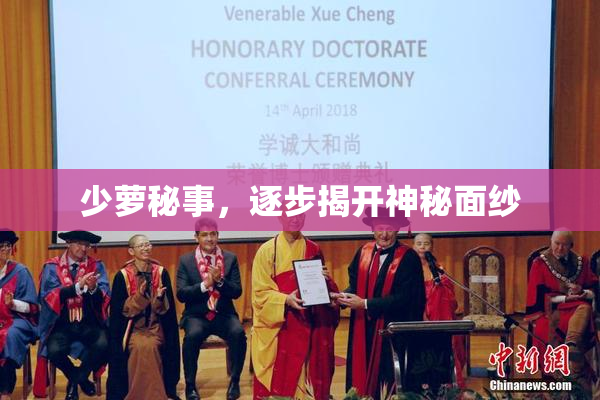 少萝秘事，逐步揭开神秘面纱