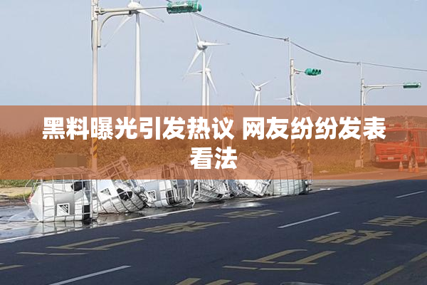黑料曝光引发热议 网友纷纷发表看法