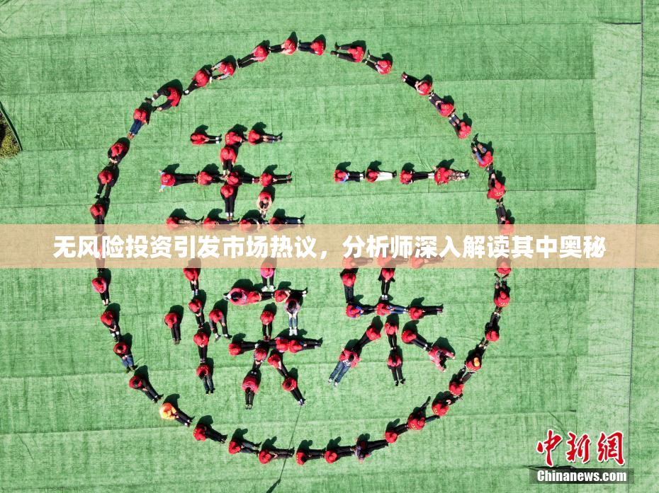 无风险投资引发市场热议，分析师深入解读其中奥秘