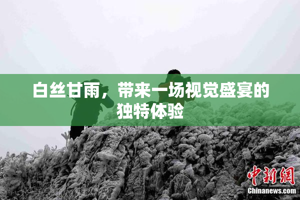 白丝甘雨，带来一场视觉盛宴的独特体验