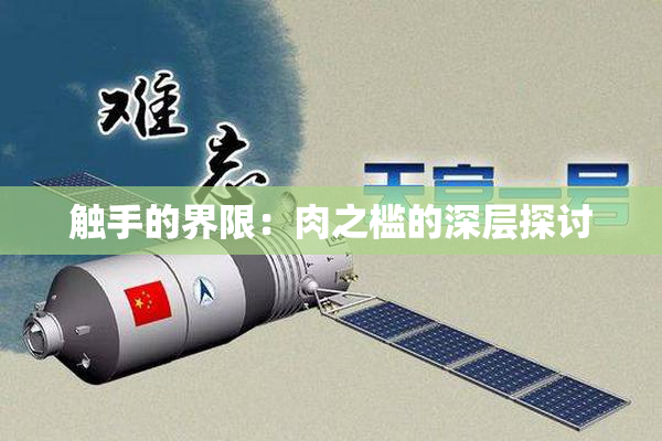 触手的界限：肉之槛的深层探讨
