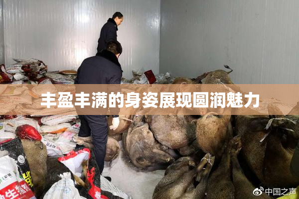 丰盈丰满的身姿展现圆润魅力
