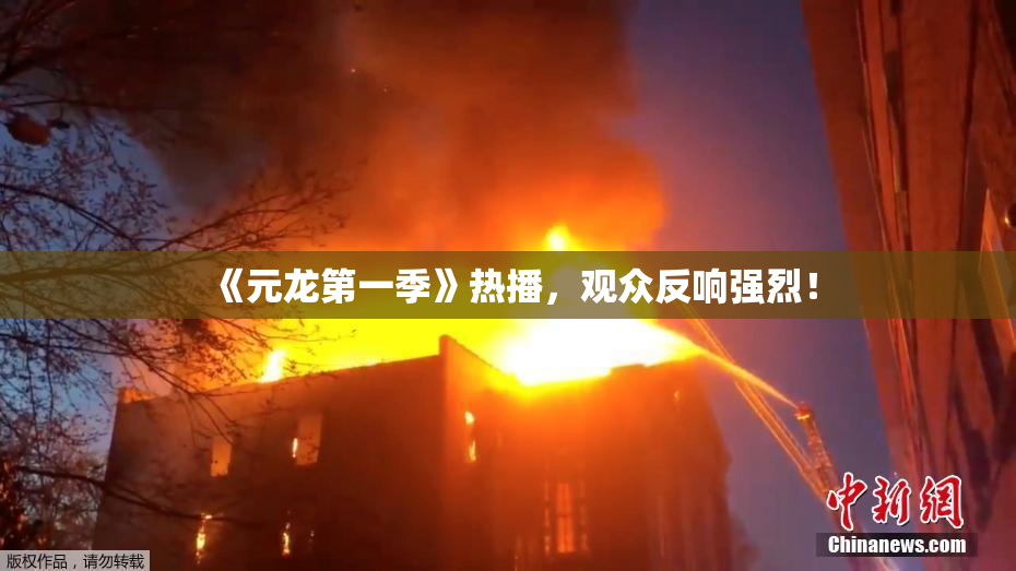 《元龙第一季》热播，观众反响强烈！
