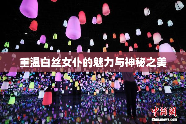 重温白丝女仆的魅力与神秘之美