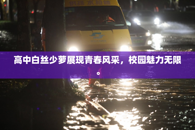 高中白丝少萝展现青春风采，校园魅力无限。