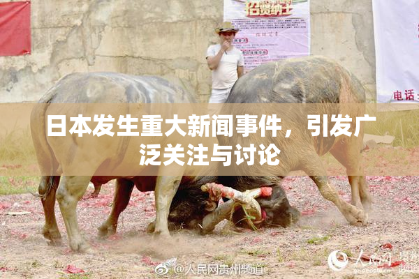 日本发生重大新闻事件，引发广泛关注与讨论