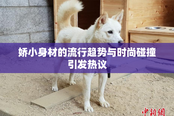 娇小身材的流行趋势与时尚碰撞引发热议