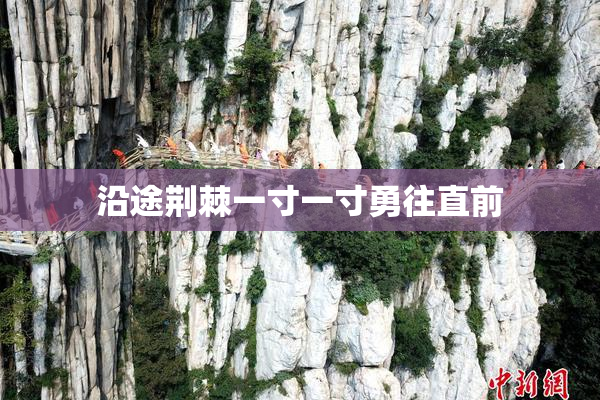 沿途荆棘一寸一寸勇往直前