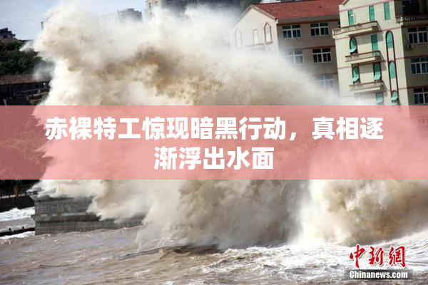 赤裸特工惊现暗黑行动，真相逐渐浮出水面
