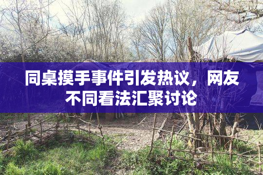同桌摸手事件引发热议，网友不同看法汇聚讨论