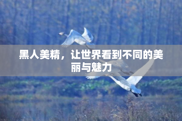 黑人美精，让世界看到不同的美丽与魅力
