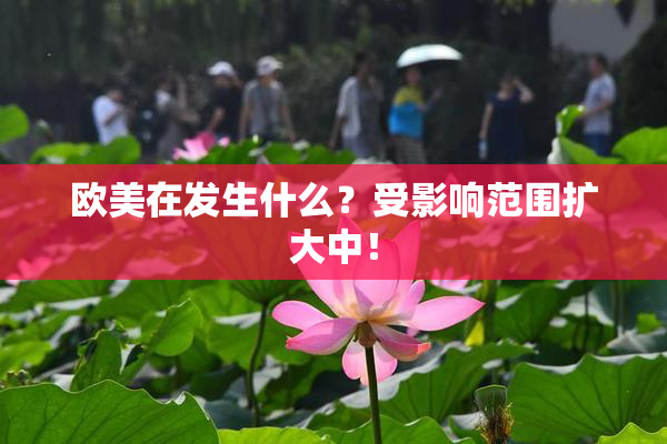 欧美在发生什么？受影响范围扩大中！