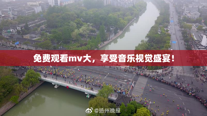 免费观看mv大，享受音乐视觉盛宴！