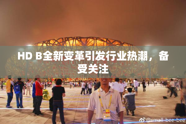 HD B全新变革引发行业热潮，备受关注