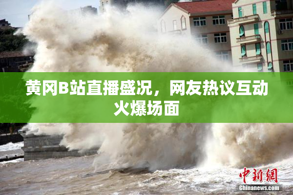 黄冈B站直播盛况，网友热议互动火爆场面