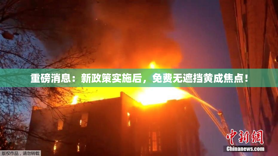 重磅消息：新政策实施后，免费无遮挡黄成焦点！